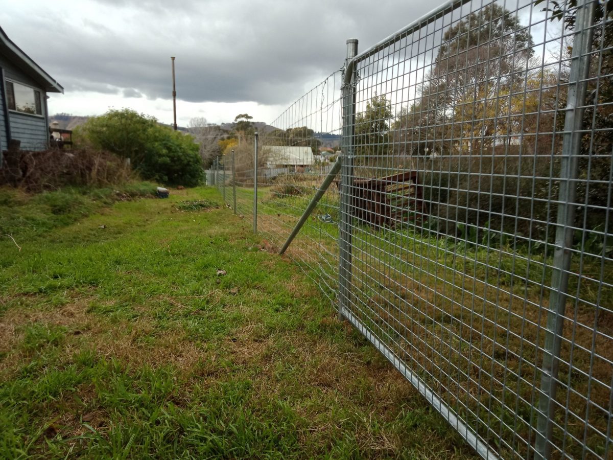 small-yard-high-fence-meaning-garden-design